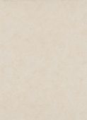 Échantillon Nico Beige