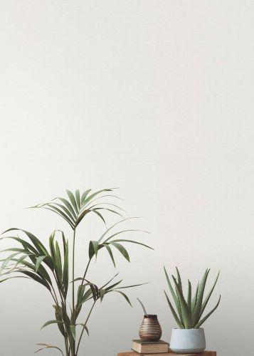 Vivian Blanc Vieux - hover