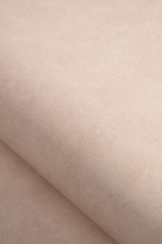 Darline Beige Rose - hover