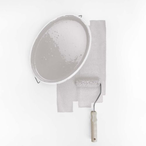 Crevette Salée