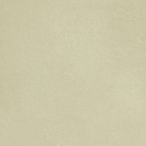 Wasabi Chaud - hover