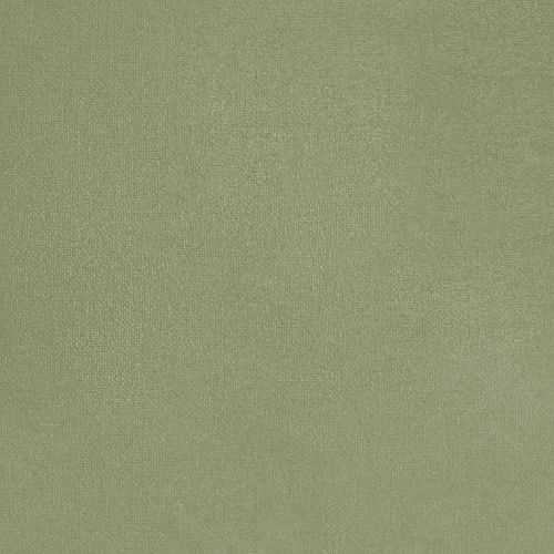 Basilic Doux - hover