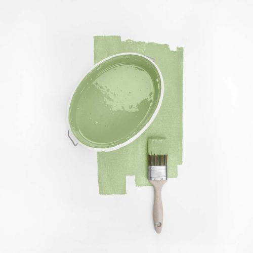 Raisins Vert