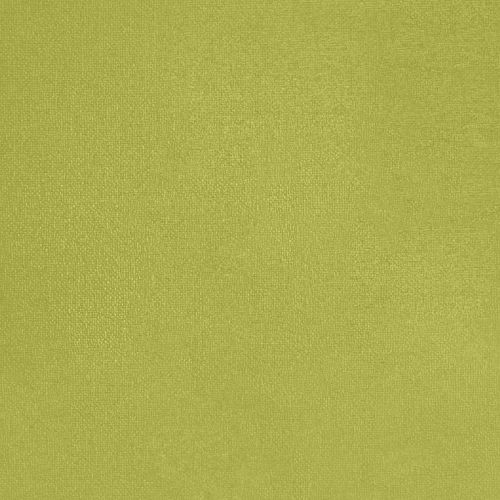 Kiwi Joyeux - hover