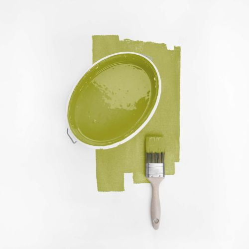 Kiwi Joyeux