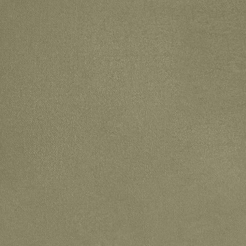 Olive Ordinaire - hover