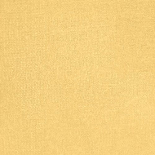 Ananas Espiègle - hover
