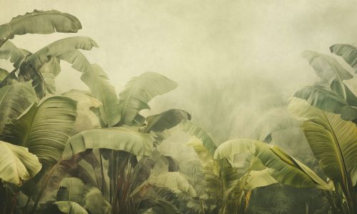Vaiana Vert - hover