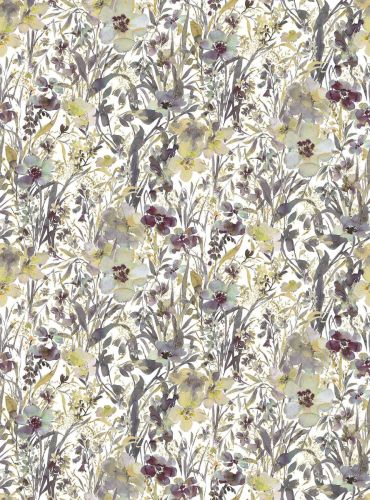 Zaveliea Jaune Violet  - hover