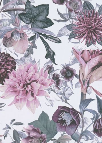 Lila Grey Lilac 