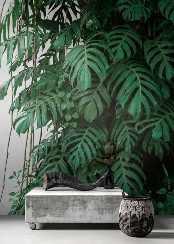 Gaspard Green 