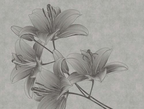 Nérée Gris  - hover