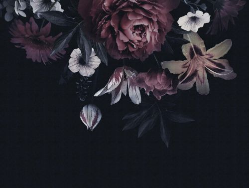 Lilas Lilas  - hover