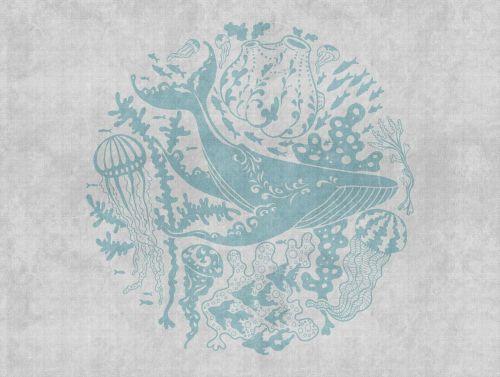 Saphir Gris Bleu  - hover