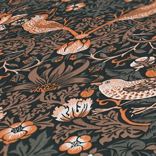 Astraielle Orange Gray - hover