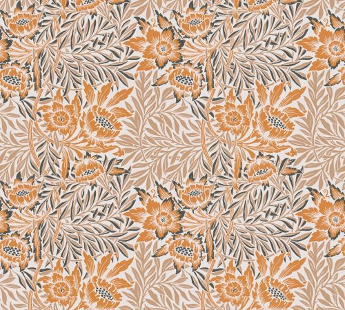 Nolevia Orange Beige  - hover