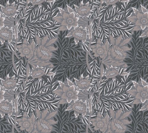 Nolévia Gris Noir  - hover