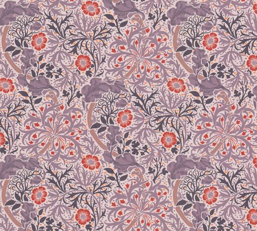 Cassiopée Crème Violet - hover