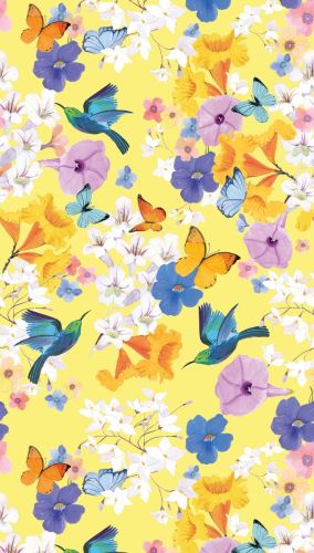 Hyacinthe Coloré - hover