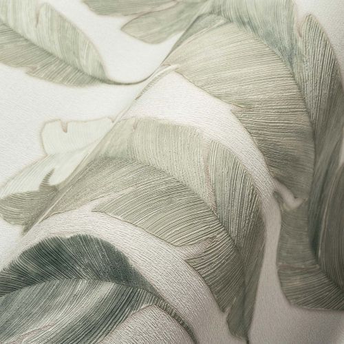Ornassia Blanc Vert  - hover