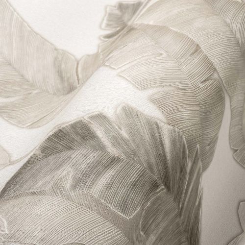 Ornassia Taupe Blanc  - hover