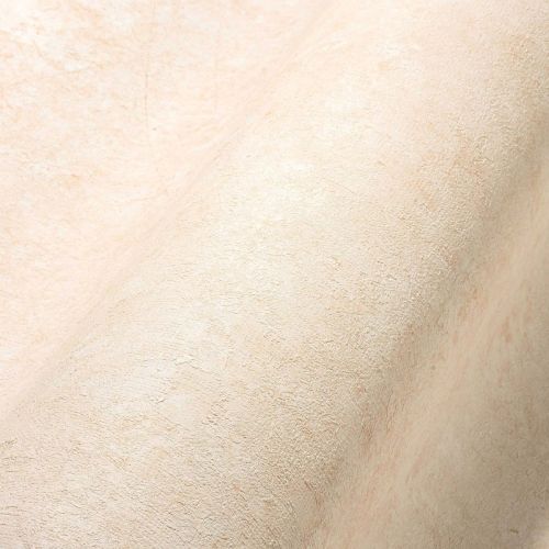 Dara Crème  - hover