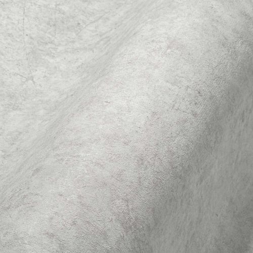 Dara Grey  - hover