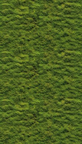 Evy Vert  - hover