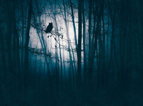 Maurice Night Blue  - hover