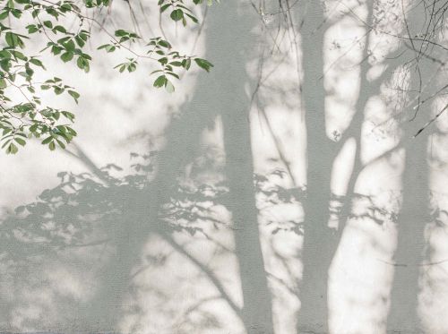 Ghislaine Gris Vert  - hover