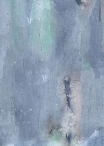 Tony Bleu Gris  - hover