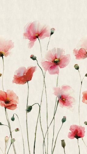 Énoa Gris Rouge  - hover