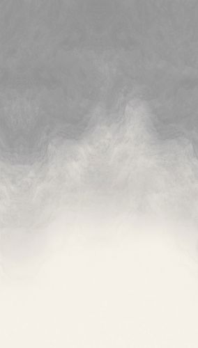 Péravion Gris Blanc  - hover