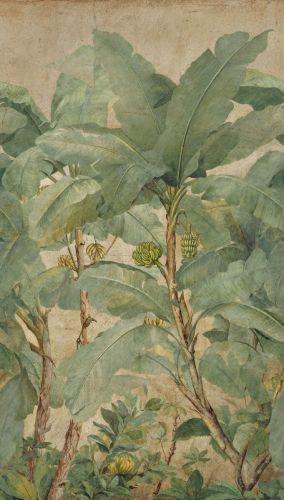 Céonie Crème Verte  - hover