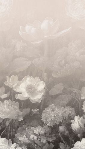Lyséthian Gris Crème  - hover