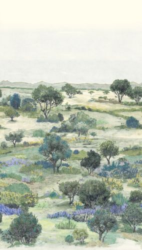 Virethar Vert Gris - hover