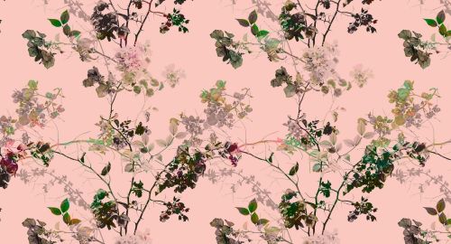 Césarine Vert Rosa  - hover