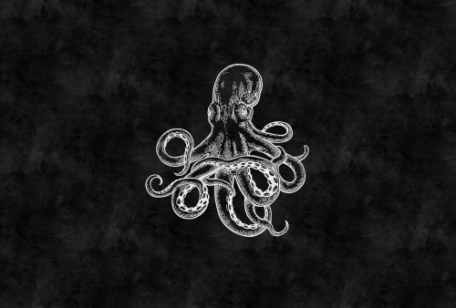 Galathee Black White - hover