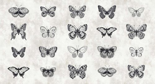 Lorette Gris Noir  - hover