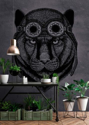 Phelix Dark Gray