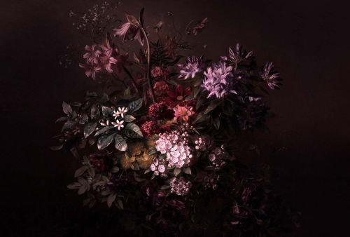 Ysolde Noir Rose - hover