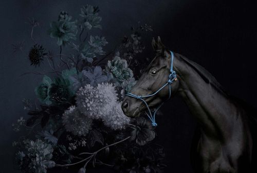 Fidele Blue Black - hover