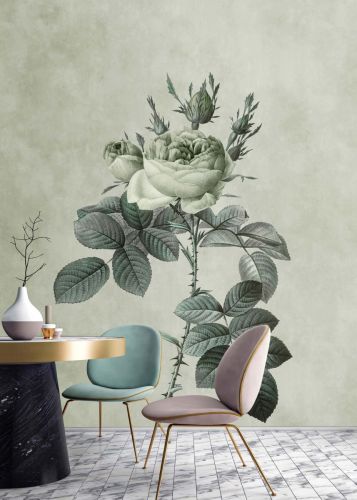Natacha Green Grey 