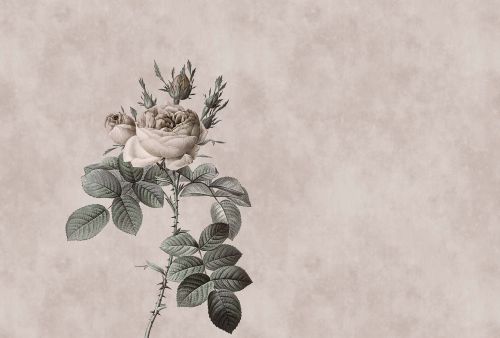 Fabienne Gris  - hover