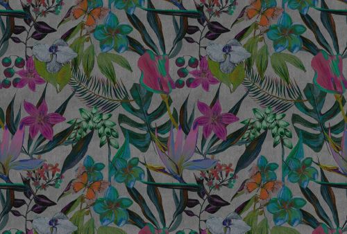 Albanie Vert Violet - hover