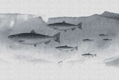Amable Grey  - hover