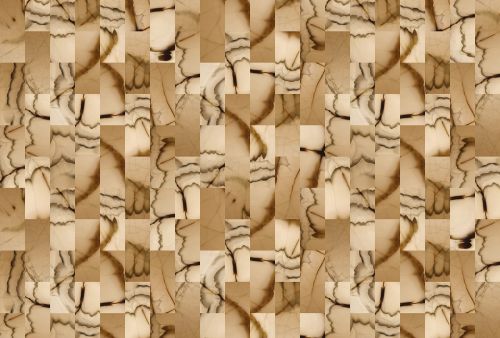 Alessia Cream Brown - hover