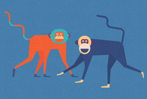 Aleth Bleu Orange  - hover