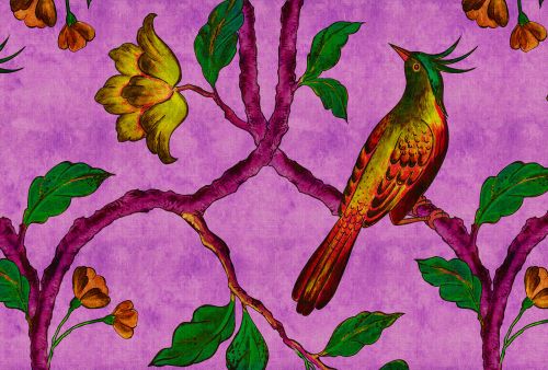 Asher Violet Orange  - hover