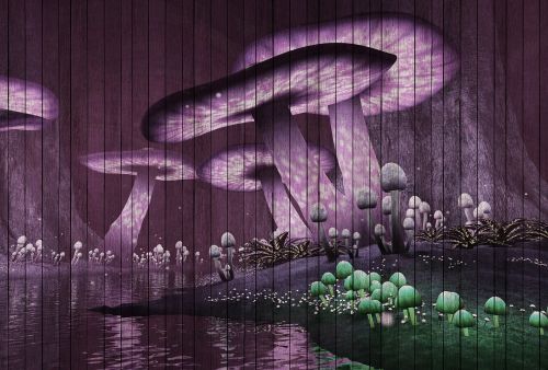 Asinette Dark Purple - hover